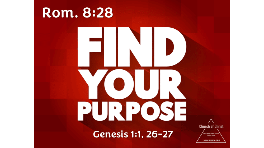 Find Your Purpose Image