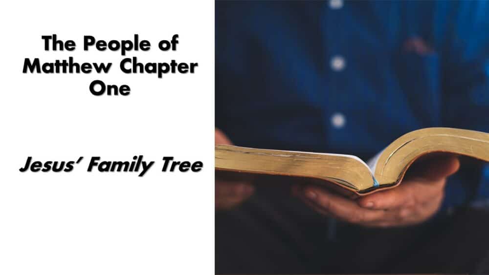 Jesus' Family Tree Dec 11 pm Image